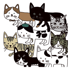 [LINEスタンプ] 猫一と猫たち