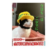 [LINEスタンプ] みーふーう