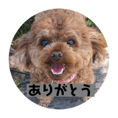 [LINEスタンプ] らむはる1