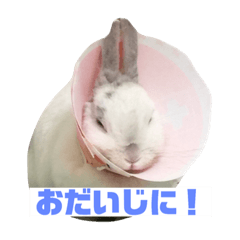[LINEスタンプ] 切り抜きみむ山みむ太