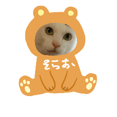 [LINEスタンプ] そらおのすたんぷ