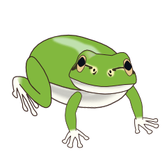 [LINEスタンプ] 黄昏のアマガエル