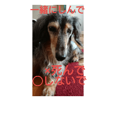[LINEスタンプ] りくじぃのレッスン