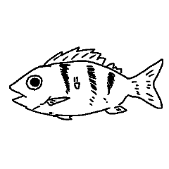 [LINEスタンプ] お魚などのスタンプ3