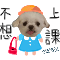[LINEスタンプ] 私の愛するもの cute dog