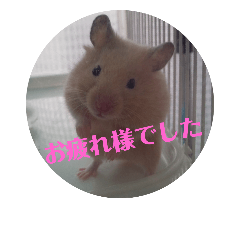 [LINEスタンプ] ハムスターのおしゃべり（仕事編）