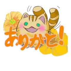 [LINEスタンプ] ねこまたぬきさん