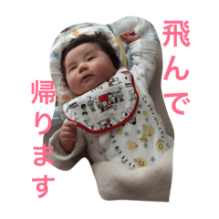 [LINEスタンプ] スタンプ泰輝