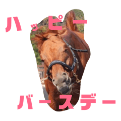 [LINEスタンプ] 栗毛のお馬 3