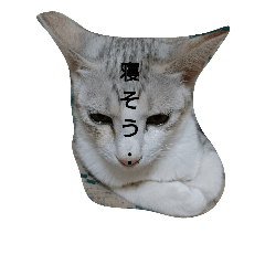 [LINEスタンプ] ねこネコぷーん