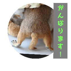 [LINEスタンプ] 僕、テソロ。～もふもふ族 ～