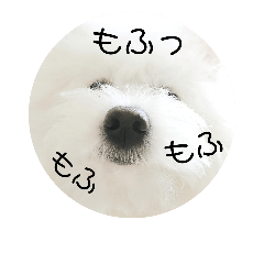 [LINEスタンプ] しろもふ日和