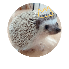 [LINEスタンプ] ハリネズミ きなことあんこ2