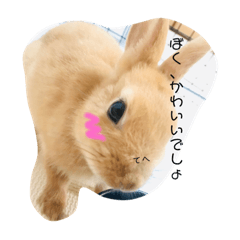[LINEスタンプ] れおたん、第2弾