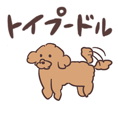 [LINEスタンプ] ゆるめのトイプードル