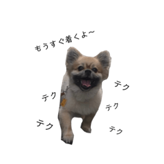 [LINEスタンプ] いっぬたち2