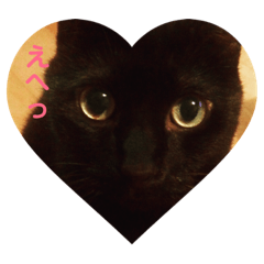 [LINEスタンプ] 黒猫モモちゃん