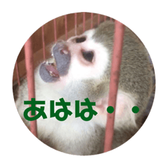[LINEスタンプ] 坂本動物園