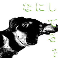 [LINEスタンプ] 毎日のパル君。