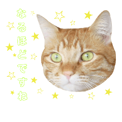 [LINEスタンプ] ♡アンナとチルチルのスタンプ♡