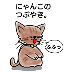 [LINEスタンプ] にゃんこの、つぶやき。