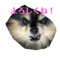 [LINEスタンプ] カワイイ子たち