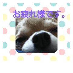 [LINEスタンプ] 時雨の気持ち