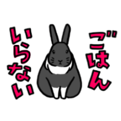 [LINEスタンプ] もふもふうさぎすき 男子用