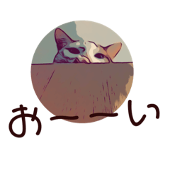 [LINEスタンプ] ネコwowの日常