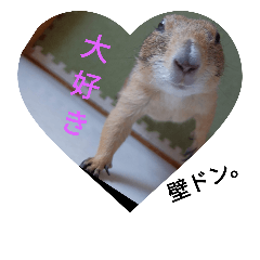 [LINEスタンプ] 僕、テソロ。～もふもふ族 -2～