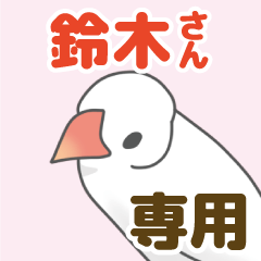 [LINEスタンプ] 【鈴木専用】文鳥さんスタンプ