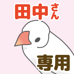 [LINEスタンプ] 【田中専用】文鳥さんスタンプの画像（メイン）