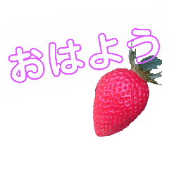 [LINEスタンプ] 苺シリーズ