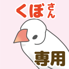 [LINEスタンプ] 【くぼ専用】文鳥さんスタンプ