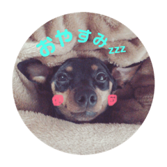 [LINEスタンプ] リオコロ第一弾