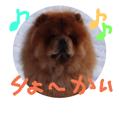 [LINEスタンプ] チャウ日和4
