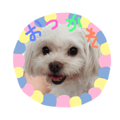 [LINEスタンプ] かわいいココア