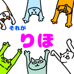 [LINEスタンプ] りほという猫たちの画像（メイン）