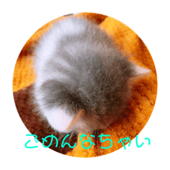 [LINEスタンプ] ゆるっときな子②