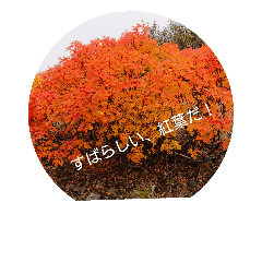 [LINEスタンプ] トレッキング、ハイキング 秋＠御嶽山