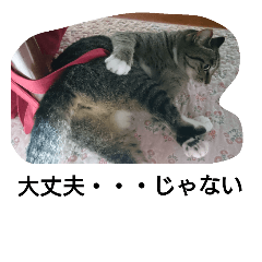 [LINEスタンプ] 猫屋敷 わさりりあん～④