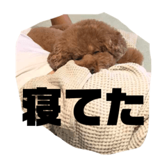 [LINEスタンプ] ティッシュんさん
