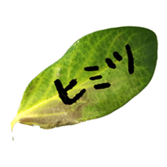 [LINEスタンプ] 葉っぱの手紙