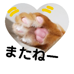 [LINEスタンプ] 吾輩は『きん』である。