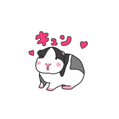 [LINEスタンプ] テディモルモットのこいしちゃん②