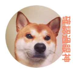 [LINEスタンプ] 柴犬PONY
