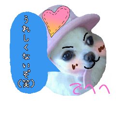 [LINEスタンプ] 谷さん家の♡DREAM♡