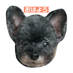 [LINEスタンプ] 太田家スタンプ