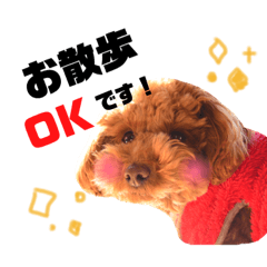 [LINEスタンプ] きよのさんちの こたろうくん