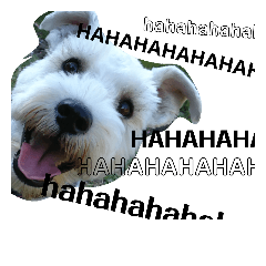 [LINEスタンプ] 私の可愛い愛犬3